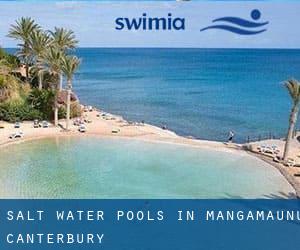 Salt Water Pools in Mangamaunu (Canterbury)