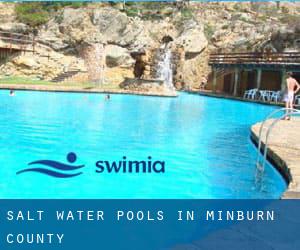 Salt Water Pools in Minburn County