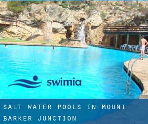 Salt Water Pools in Mount Barker Junction