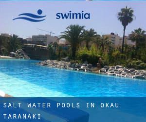 Salt Water Pools in Okau (Taranaki)