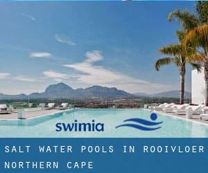 Salt Water Pools in Rooivloer (Northern Cape)