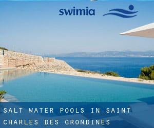 Salt Water Pools in Saint-Charles-des-Grondines