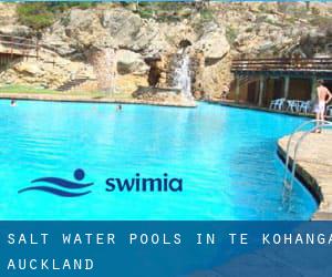 Salt Water Pools in Te Kohanga (Auckland)