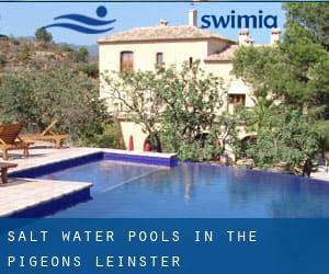 Salt Water Pools in The Pigeons (Leinster)