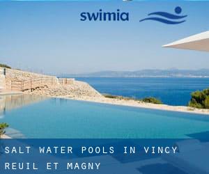 Salt Water Pools in Vincy-Reuil-et-Magny