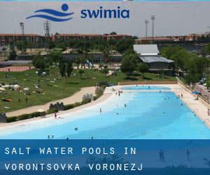 Salt Water Pools in Vorontsovka (Voronezj)