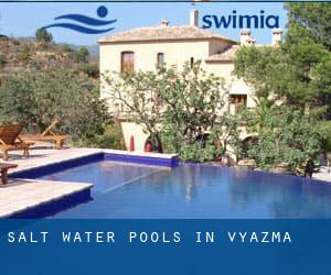 Salt Water Pools in Vyaz'ma