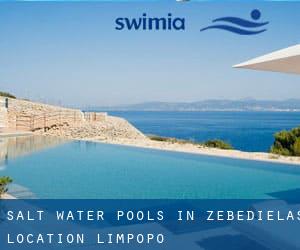 Salt Water Pools in Zebedielas Location (Limpopo)