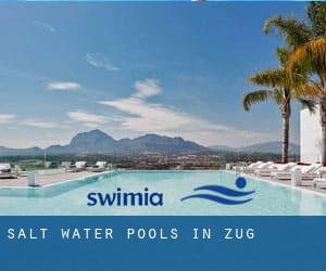 Salt Water Pools in Zug