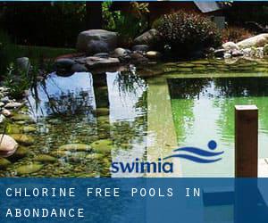 Chlorine Free Pools in Abondance