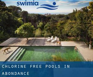 Chlorine Free Pools in Abondance