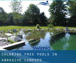 Chlorine Free Pools in Abrasive (Limpopo)