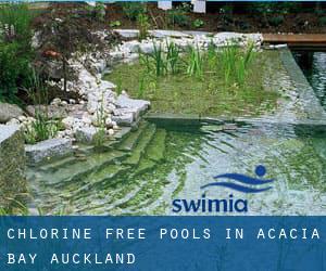 Chlorine Free Pools in Acacia Bay (Auckland)