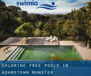 Chlorine Free Pools in Adamstown (Munster)