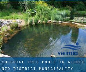 Chlorine Free Pools in Alfred Nzo District Municipality