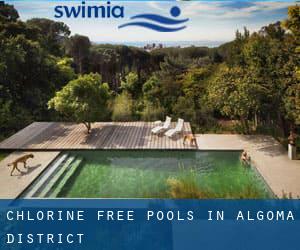 Chlorine Free Pools in Algoma District