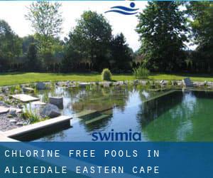 Chlorine Free Pools in Alicedale (Eastern Cape)