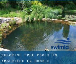 Chlorine Free Pools in Ambérieux-en-Dombes