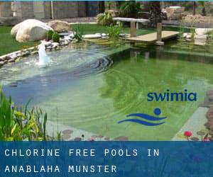 Chlorine Free Pools in Anablaha (Munster)