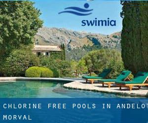 Chlorine Free Pools in Andelot-Morval