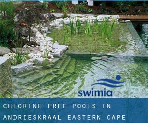 Chlorine Free Pools in Andrieskraal (Eastern Cape)