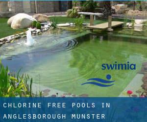 Chlorine Free Pools in Anglesborough (Munster)