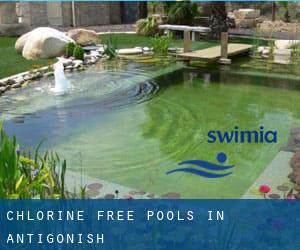 Chlorine Free Pools in Antigonish