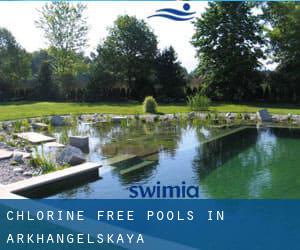 Chlorine Free Pools in Arkhangelskaya