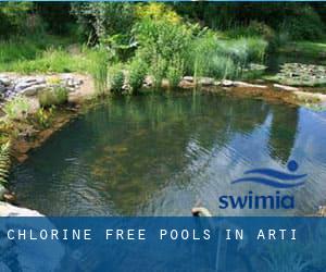 Chlorine Free Pools in Arti