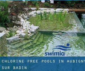 Chlorine Free Pools in Aubigny-sur-Badin