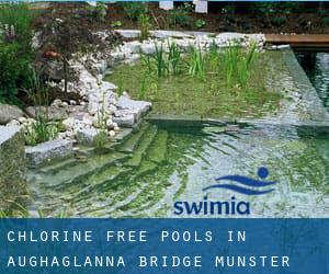 Chlorine Free Pools in Aughaglanna Bridge (Munster)