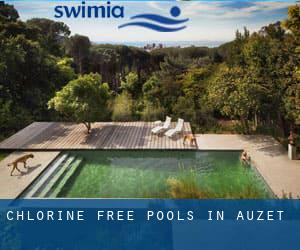 Chlorine Free Pools in Auzet