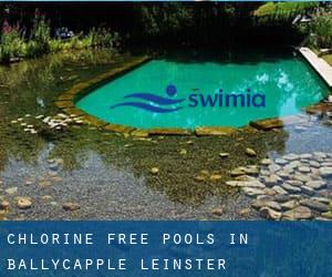 Chlorine Free Pools in Ballycapple (Leinster)