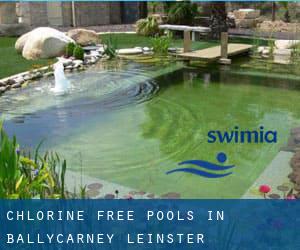 Chlorine Free Pools in Ballycarney (Leinster)