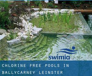 Chlorine Free Pools in Ballycarney (Leinster)