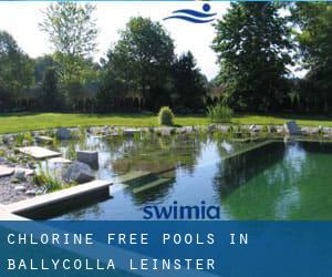 Chlorine Free Pools in Ballycolla (Leinster)