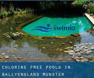 Chlorine Free Pools in Ballyengland (Munster)