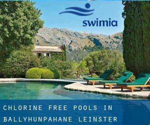 Chlorine Free Pools in Ballyhunpahane (Leinster)