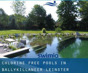 Chlorine Free Pools in Ballykillaneer (Leinster)