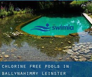 Chlorine Free Pools in Ballynahimmy (Leinster)