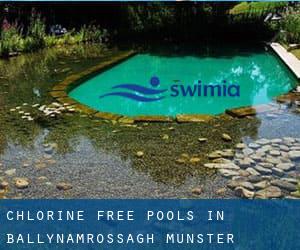 Chlorine Free Pools in Ballynamrossagh (Munster)