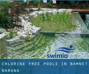 Chlorine Free Pools in Bamnet Narong