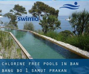 Chlorine Free Pools in Ban Bang Bo (1) (Samut Prakan)