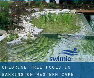 Chlorine Free Pools in Barrington (Western Cape)