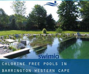 Chlorine Free Pools in Barrington (Western Cape)