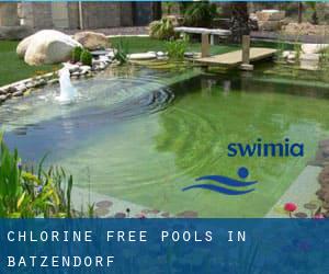 Chlorine Free Pools in Batzendorf