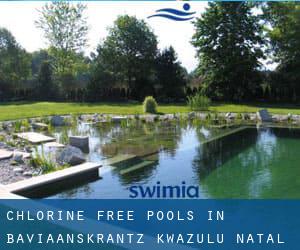 Chlorine Free Pools in Baviaanskrantz (KwaZulu-Natal)