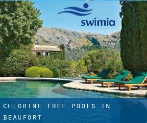 Chlorine Free Pools in Beaufort