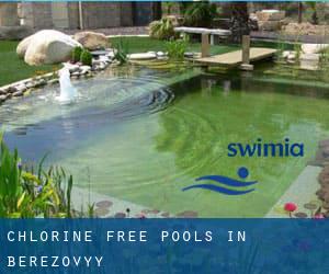 Chlorine Free Pools in Berezovyy