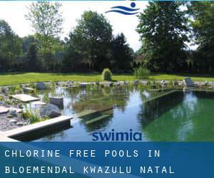 Chlorine Free Pools in Bloemendal (KwaZulu-Natal)